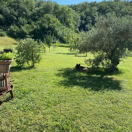 Alloggio in famiglia Poderone *