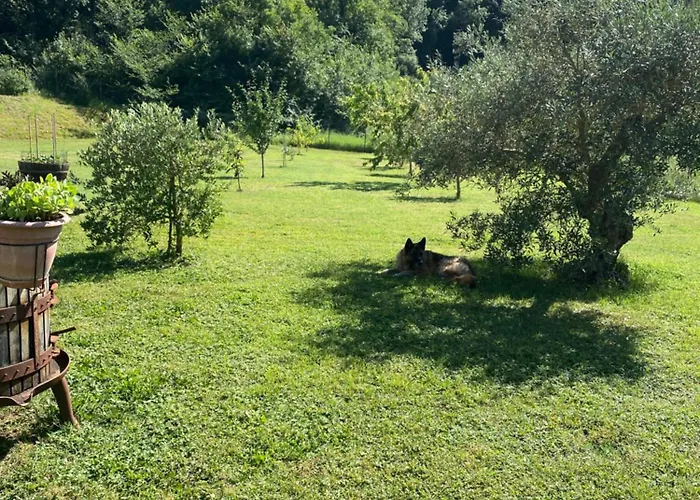 בית אירוח Poderone *