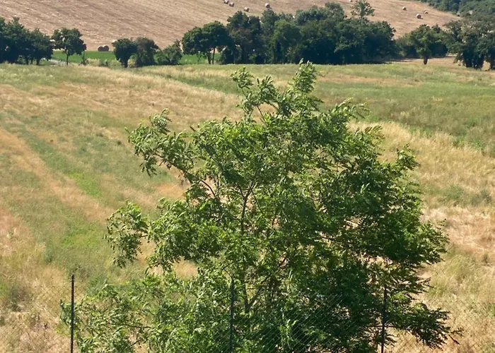 ホームステイ Poderone *